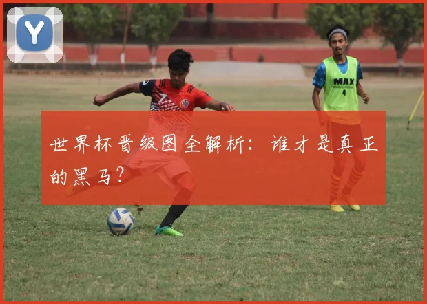 世界杯晋级图全解析:谁才是真正的黑马?