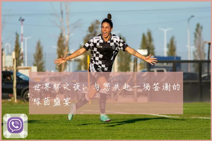 世界杯之夜:与您共赴一场答谢的绿茵盛宴