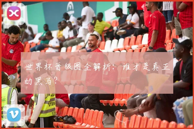 世界杯晋级图全解析:谁才是真正的黑马?